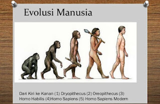 Asal Usul Manusia Asal Usul Manusia