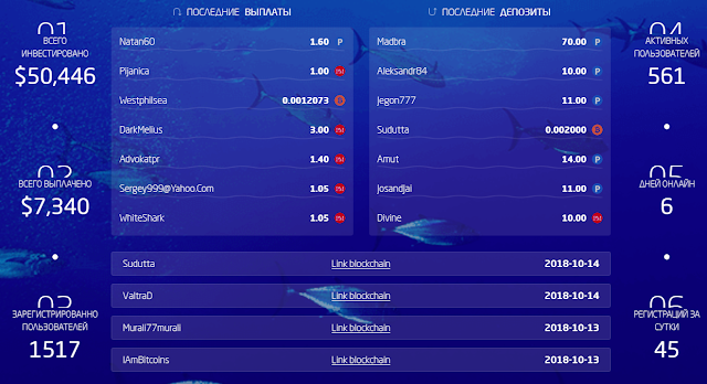 Статистика проекта ocean3.biz обзор