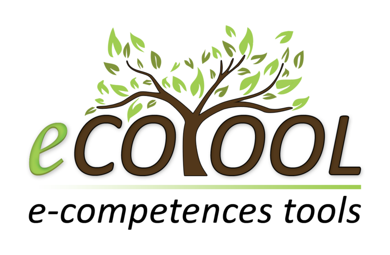 Nai & Ness Ecotools a examen Bronzer brush