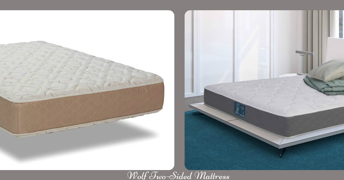 A Wolf 2 Sided Mattress & Latex Topper For A Large Adult Woman Amongst