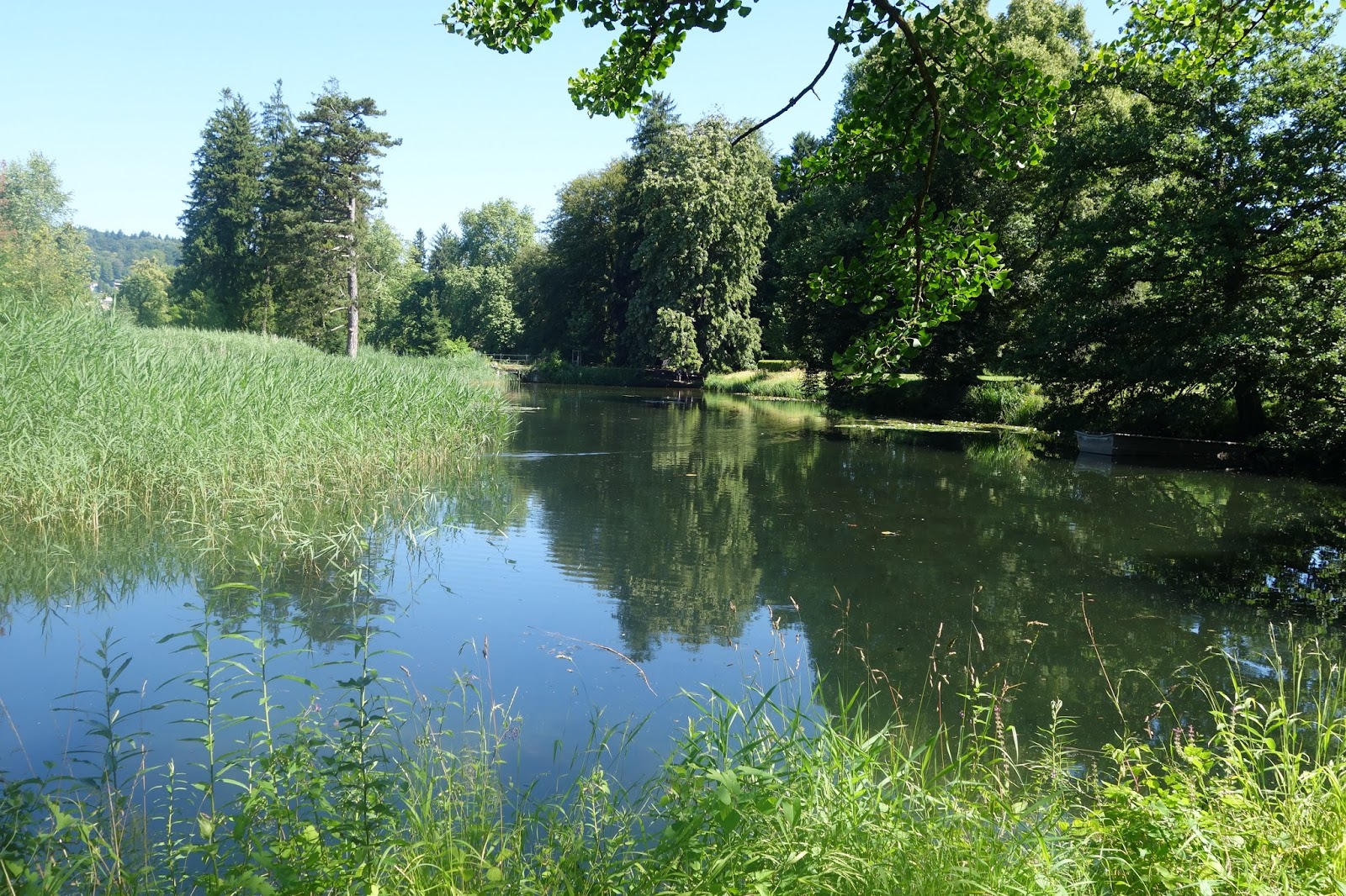Z i m i s e i t e BallyPark Schönenwerd / Ausflugstipp CH