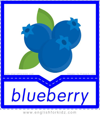 Blueberry berries - English flashcards for the fruits and vegetables topic