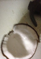 Coconut meat This picture shows the coconut meat which is delicious