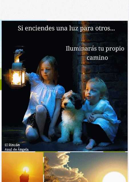 Ver las imágenes de origen