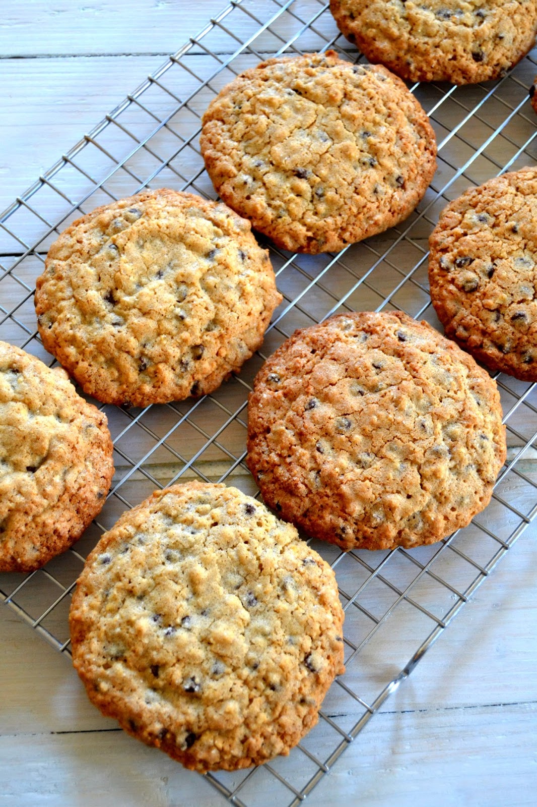 Cakeyboi Classic Chocolate Chip Cinnamon Oatmeal Cookies