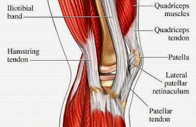 Tom's Physiotherapy Blog: Knee Injuries