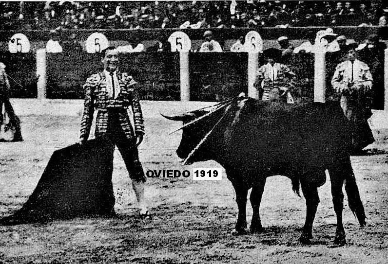 oviedo toros