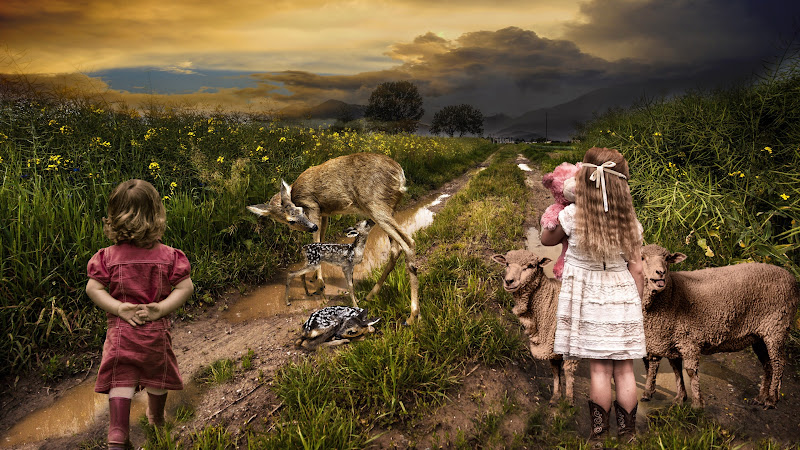 Photoshop Artwork 2
