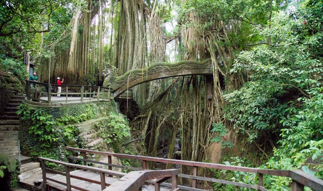 Inilah 10 Lokasi Wisata Populer Di Ubud Bali