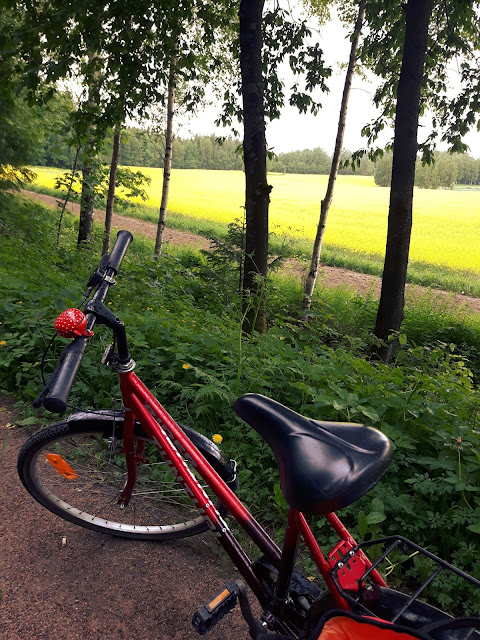 Pyöräily astmalapsen kanssa