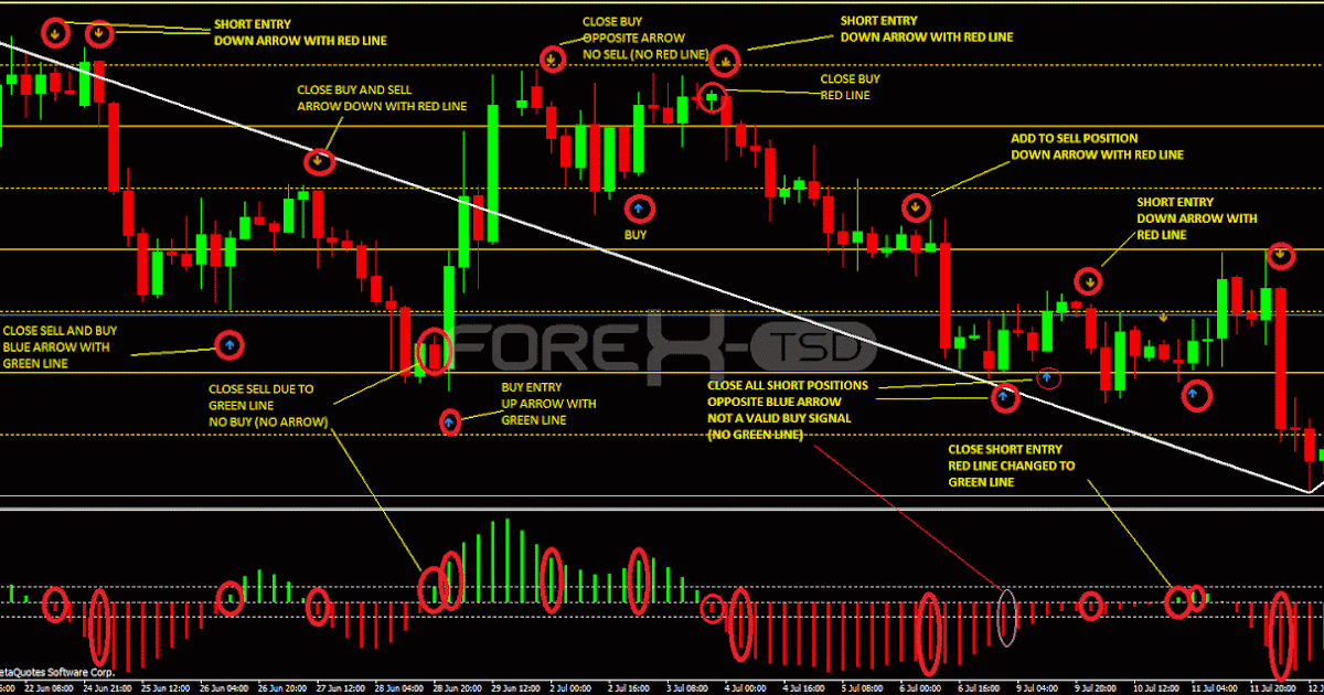 Learn forex trading in 30 days pdf