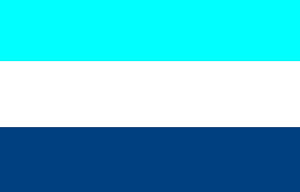 Bandera de la Provincia de Coclé