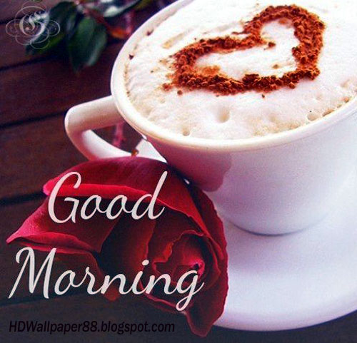 good morning love pictures good morning 2016 love pictures