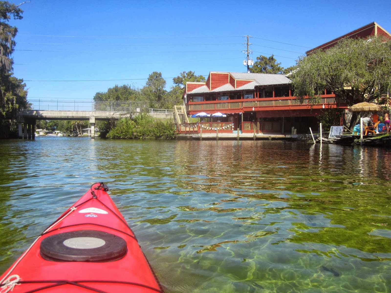 Dave's Yak Tales Weeki Wachee, Mud River, and Salt Spring