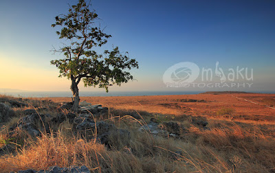 Perbukitan savana Puru Kambera