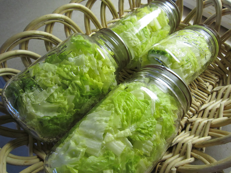 A Food Saver, Canning Jars and Lettuce