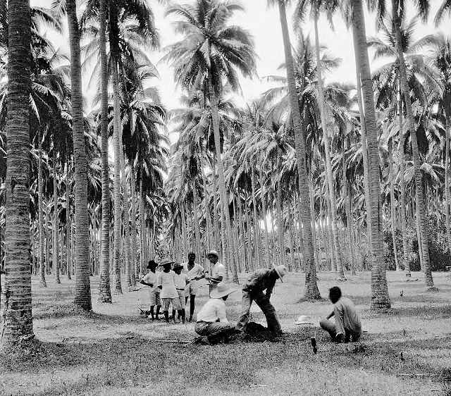 Men taking soil samples in Santo Tomas, 1931. Image source: University of Wisconsin at Milwaukee Digital Library. Men taking soil samples in Santo Tomas, 1931. Image source: University of Wisconsin at Milwaukee Digital Library.