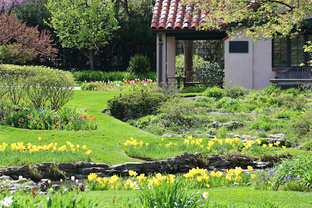 Dreams in HD: Smith Gardens