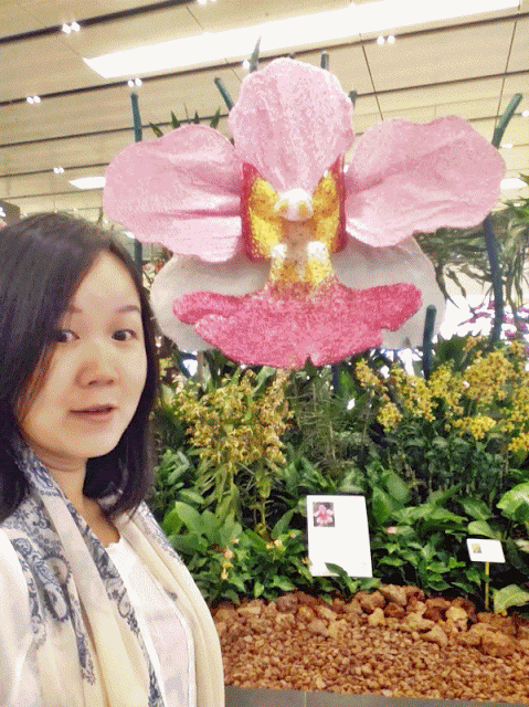 Changi airport and had fun playing free games Changi airport and had fun playing free games | www.meheartseoul.blogspot.com