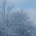 Chasing Snows to Botrange Chasing Snows to Botrange