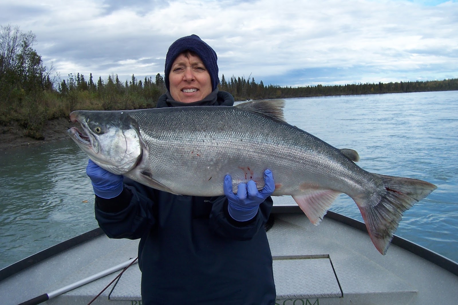 Beaver Creek Cabins & Guide Service Silver Salmon Derby 2017