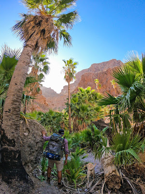 Continúan certificaciones para mejorar servicios turísticos en Sonora Continúan certificaciones para mejorar servicios turísticos en Sonora