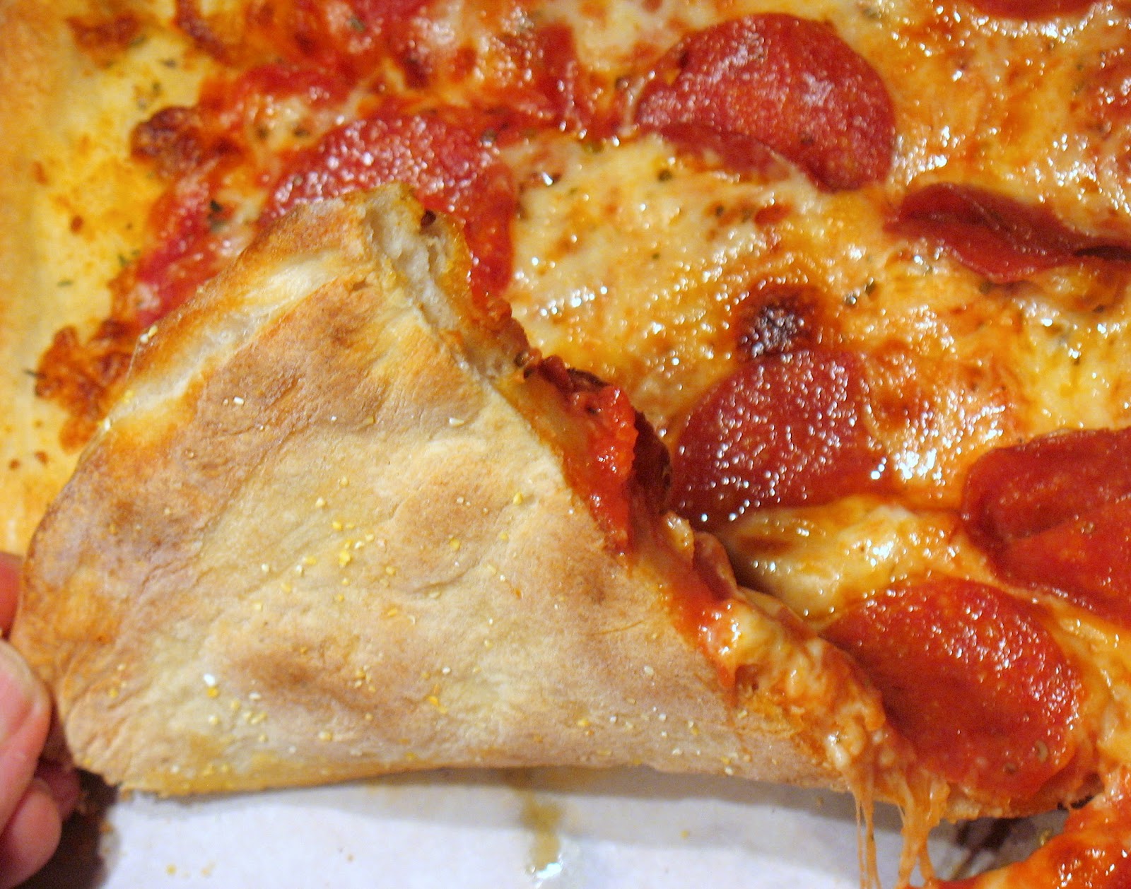 The Rochester NY Pizza Blog Pizza D's, Mendon