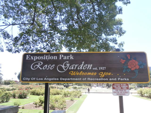 Adventures In Weseland Exposition Park Rose Garden