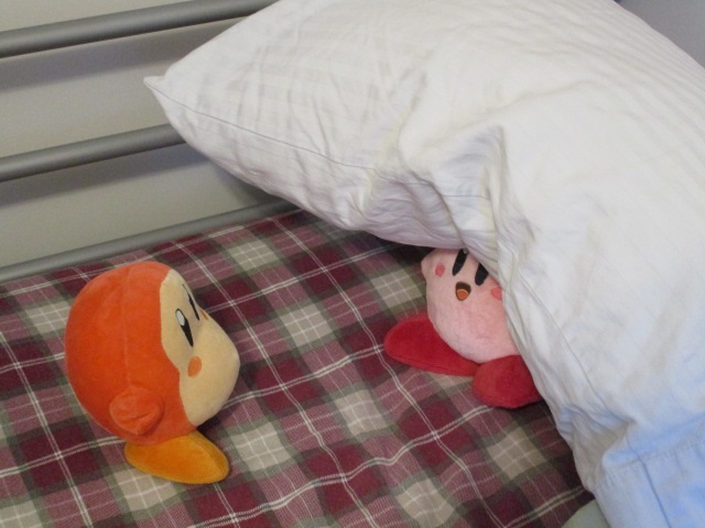 sleeping waddle dee plush