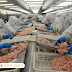 The worst food you can get on the planet......... From CHINA....??????????