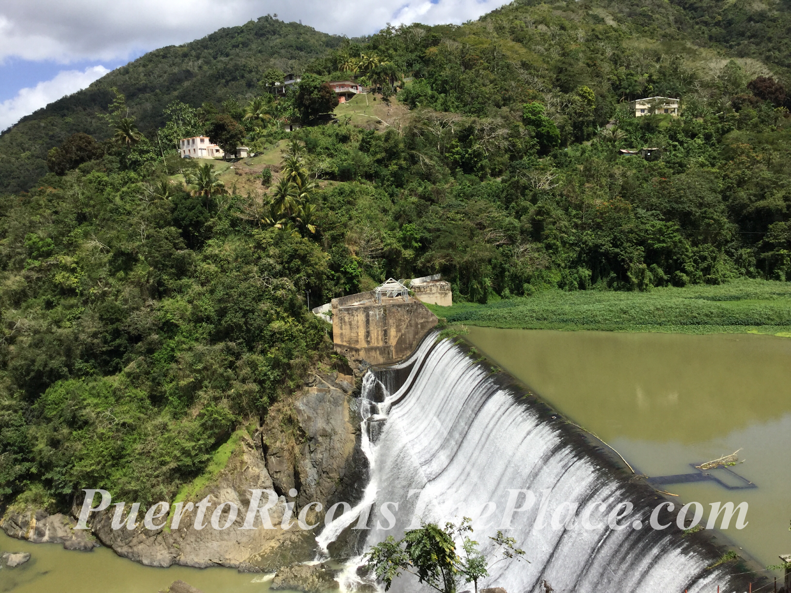 Puerto Rico Is The Place Reservoir of Comerio, Puerto Rico