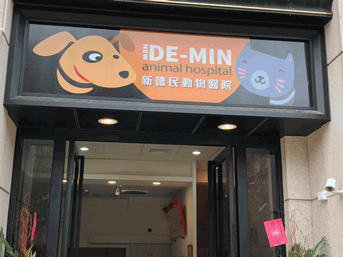 楠梓德民動物醫院打造溫馨舒適的醫療環境!