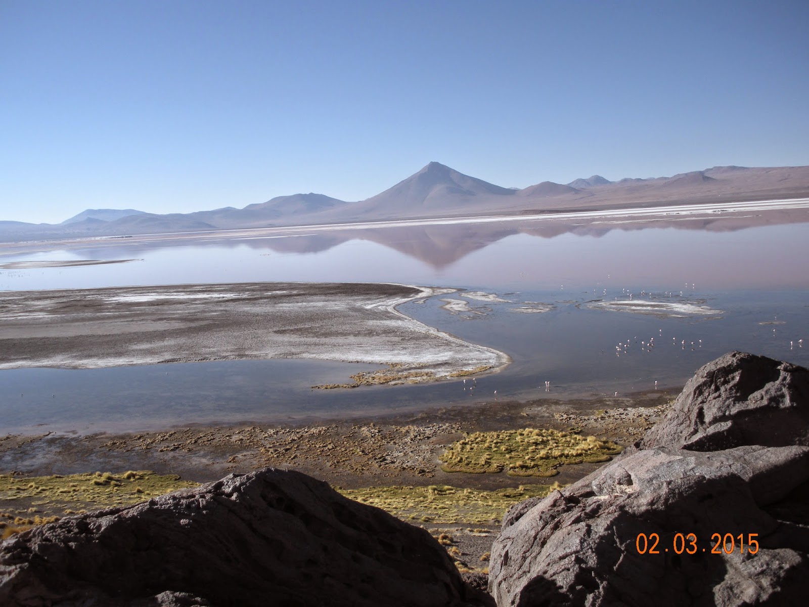 Atacama - Blogs de Bolivia - Atacama/ geyseres y lagunas (10)