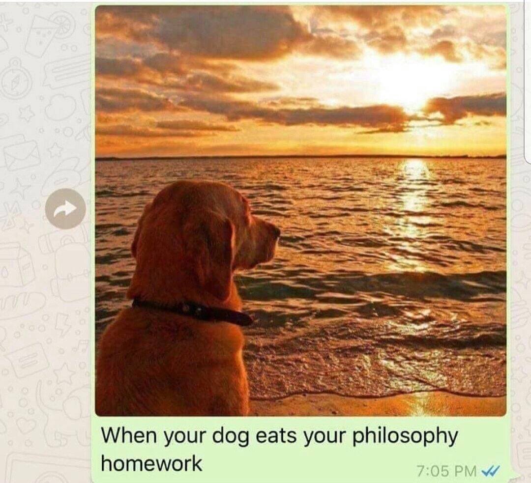 dog ate philosophy homework