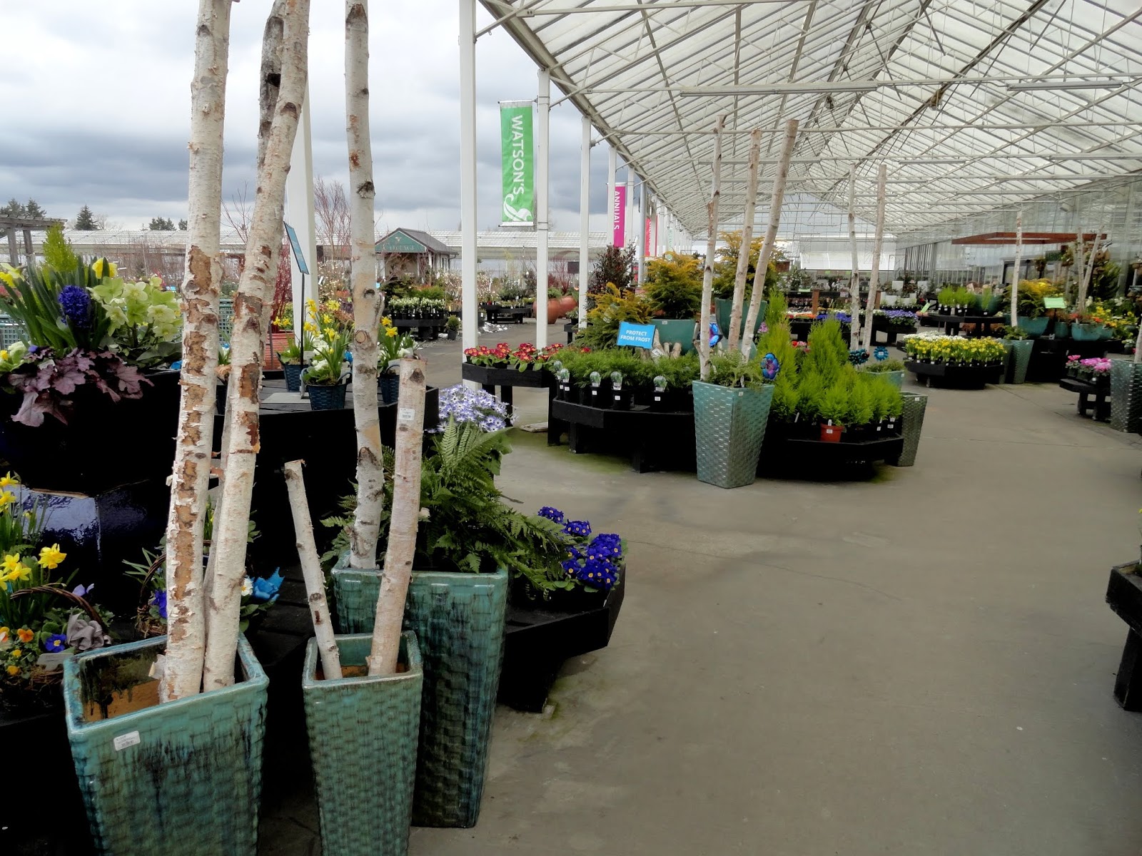 danger garden nursery visits on the way to Seattle...