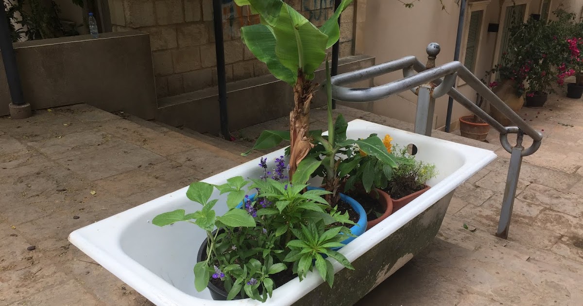 Alternative uses of a bathtub Tarek Chemaly