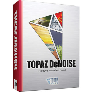 Topaz DeNoise 5 [DOWNLOAD]