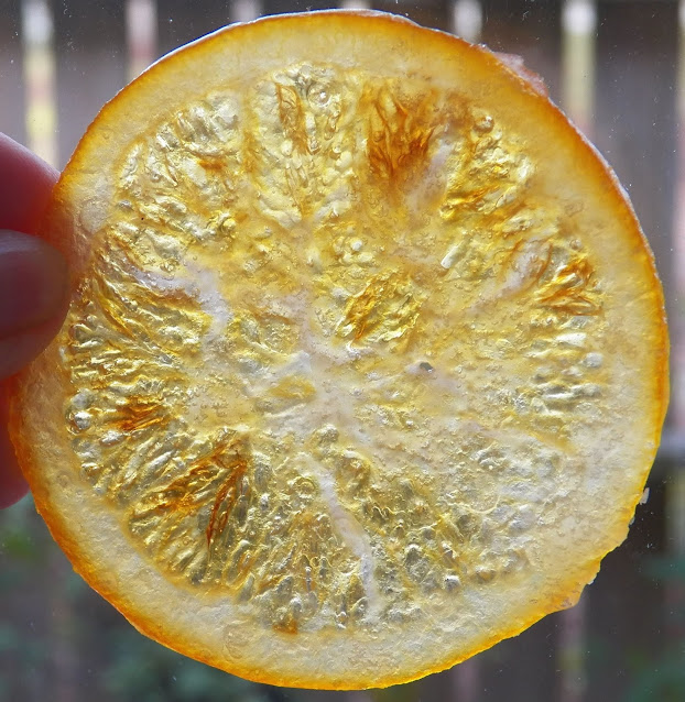 Candied Orange Slices - Sidsseapalmcooking.com