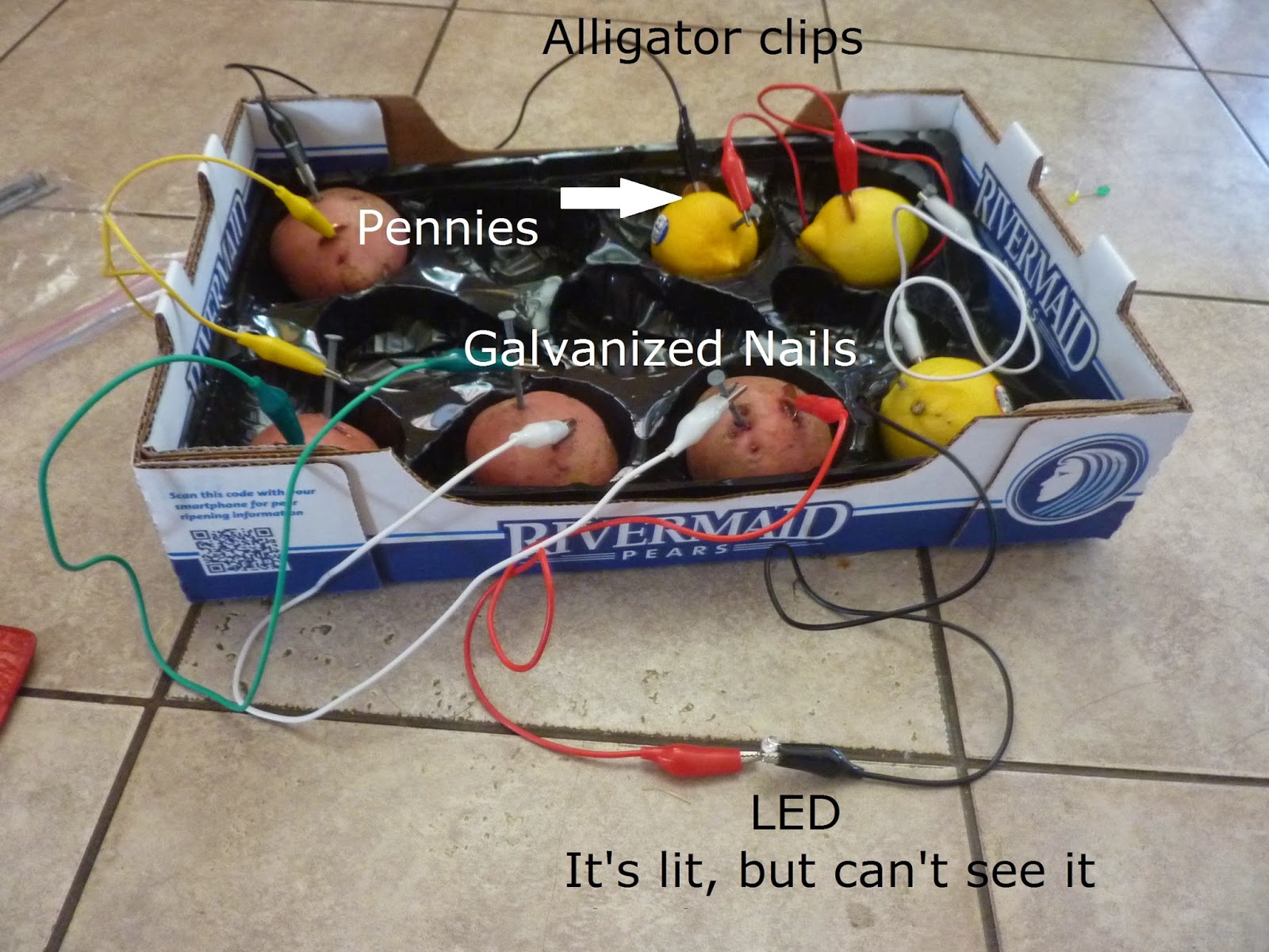 Kto6Science: Fruit and Vegetable battery