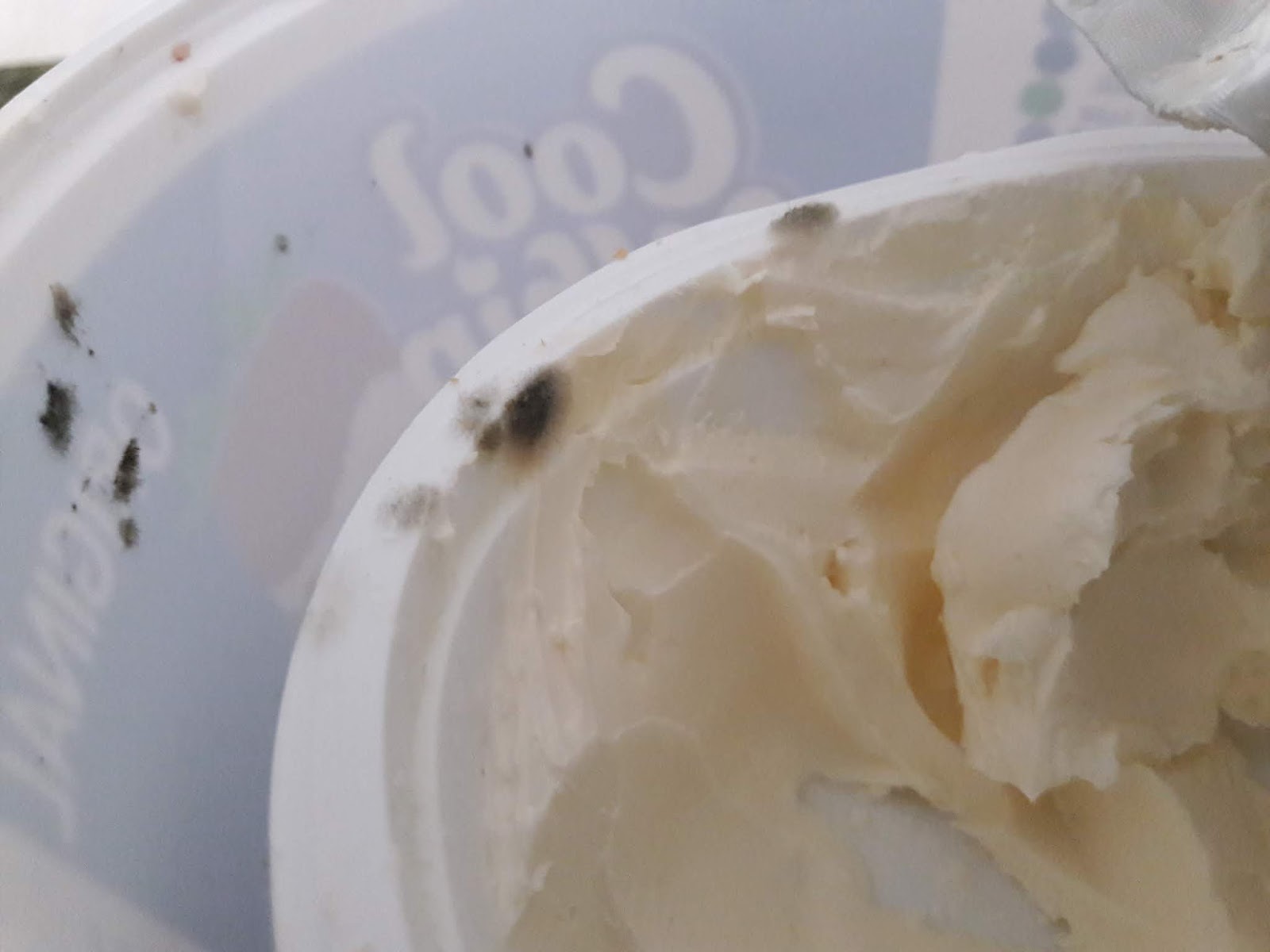 Sustainable Mycology Cream cheese mold