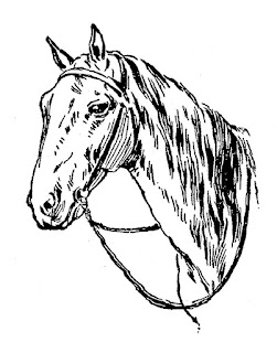 digital horse download horse digital illustration image