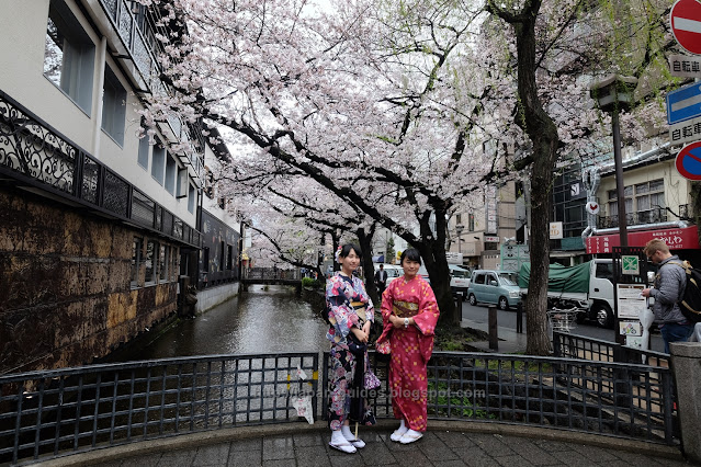 คลอง Takase-gawa Kyoto sakura spot