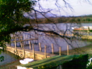 IMAG0037.JPG