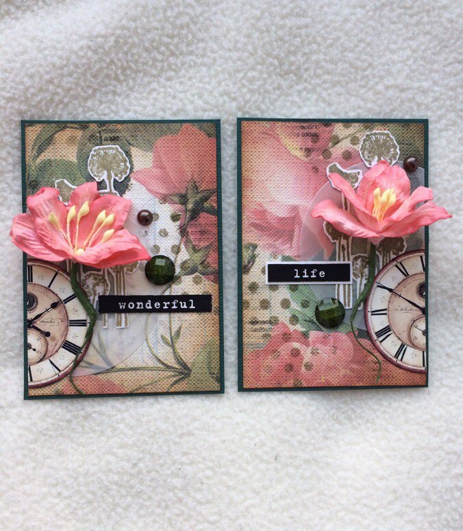 ������� ����, �������� � ��������������