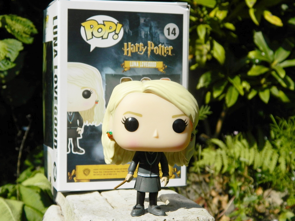 pop in a box monthly
