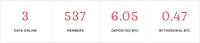 Статистика проекта bittoken.biz обзор