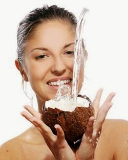 image optimization for Manfaat Buah Kelapa Untuk Kehidupan image optimization