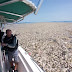 Horrifying Photos From Caribbean Reveal A Sea Of Plastic And Styrofoam