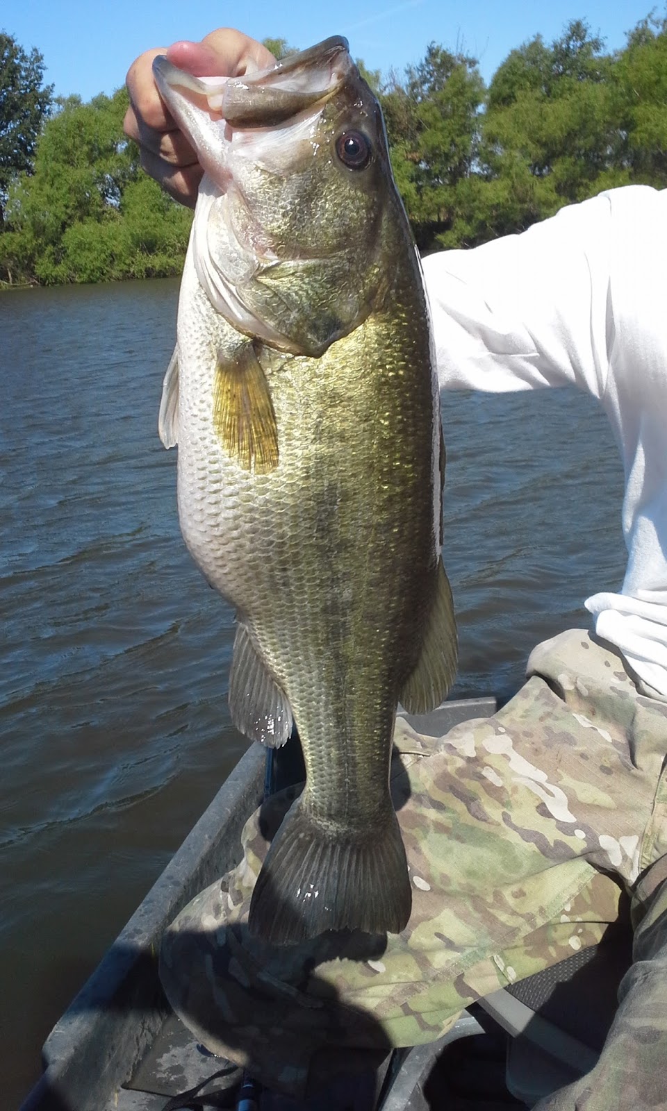 The Show Me Fly Guy Fishing With Jordan Part 2