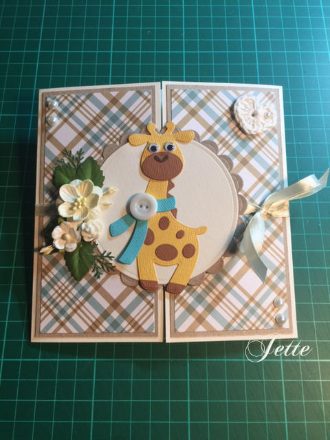 Heidis Kreative Team Huleboer: Fløj kort - Baby kort